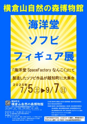 企画展のご案内